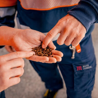 Mahou San Miguel impulsa la descarbonización de su cadena de valor con 7.000 toneladas de malta de cebada baja en emisiones