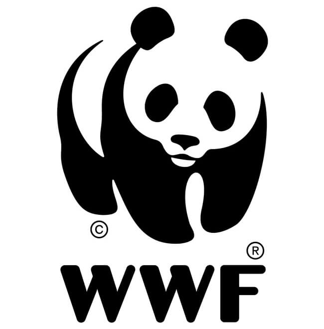 Mahou San Miguel y WWF España reforestan dos hectáreas de los bosques de Guadalajara