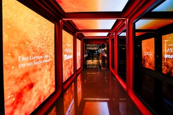 Mahou San Miguel arranca la fabricación de cerveza en el Santiago Bernabéu