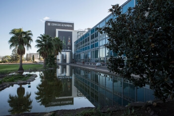 Mahou San Miguel aumenta un 17,6% la producción de su planta de Córdoba en los últimos cinco años