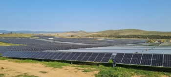 Mahou San Miguel confía a Endesa el suministro de energía renovable para los próximos diez años